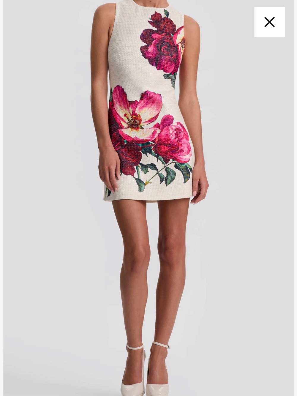 Alice + Olivia Cream Mini Dress with Pink Floral Print
